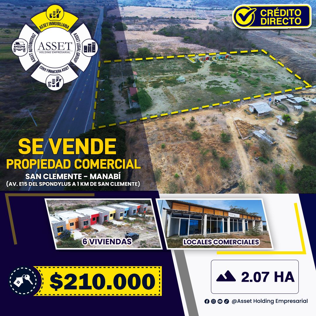 ASSET INMOBILIARIA