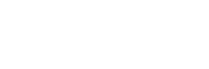 ASSET